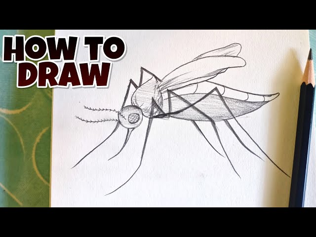 150+ Drawing Of The Gnat Stock Illustrations, Royalty-Free Vector Graphics  & Clip Art - iStock