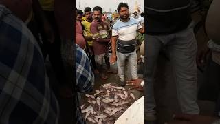 How fish is sold in Kakinada Fishing Harbour