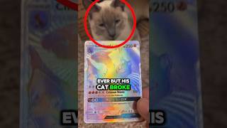He found the rarest Pokémon card ever 🤩 😮 #funny #animals #cat #pokemon #cute #shorts #fyp