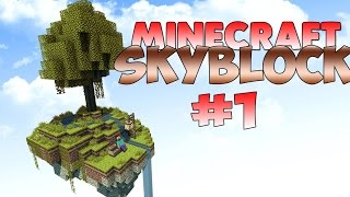 Minecraft ArkhamNetwork Skyblock #1