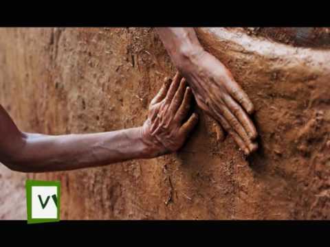 naturaleza definicion VIVA MISIONES PERMACULTURA EL SOBERBIO MISIONES 10 6 2016