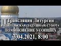 Трансляция Литургии РОДИТЕЛЬСКАЯ (ЗАДУШНАЯ) СУБОТА, ПОМИНОВЕНИЕ УСОПШИХ,  03.04.2021