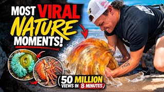 MOST Viral Nature Moments! (50 Million Views in 8 Minutes!) 😱