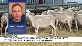 Αλληλεγγύη των Κτηνοτρόφων του Έβρου για την Λέσβο