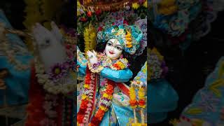 Mai Bawaria Sudh Budh Bhuli ll #krishna #trending #status #shorts #ytshorts #therarejourney