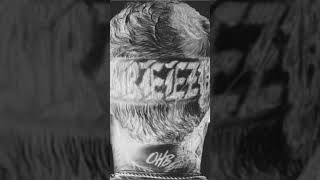Celebrity TRANSPARENCY [Unreleased] - Chris Brown (Cover) Net Worth