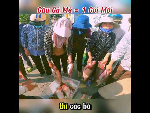 Câu Cá Mè Đem Bán Mua Sữa Cho Trẻ Em