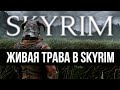 Живая трава в Skyrim ENB Grass Collisions и Complex Grass Установка и настройка гайд 🅒 Скайрим моды