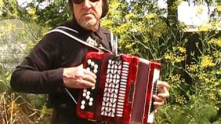 Video thumbnail of "Waltz Domino - Accordion"