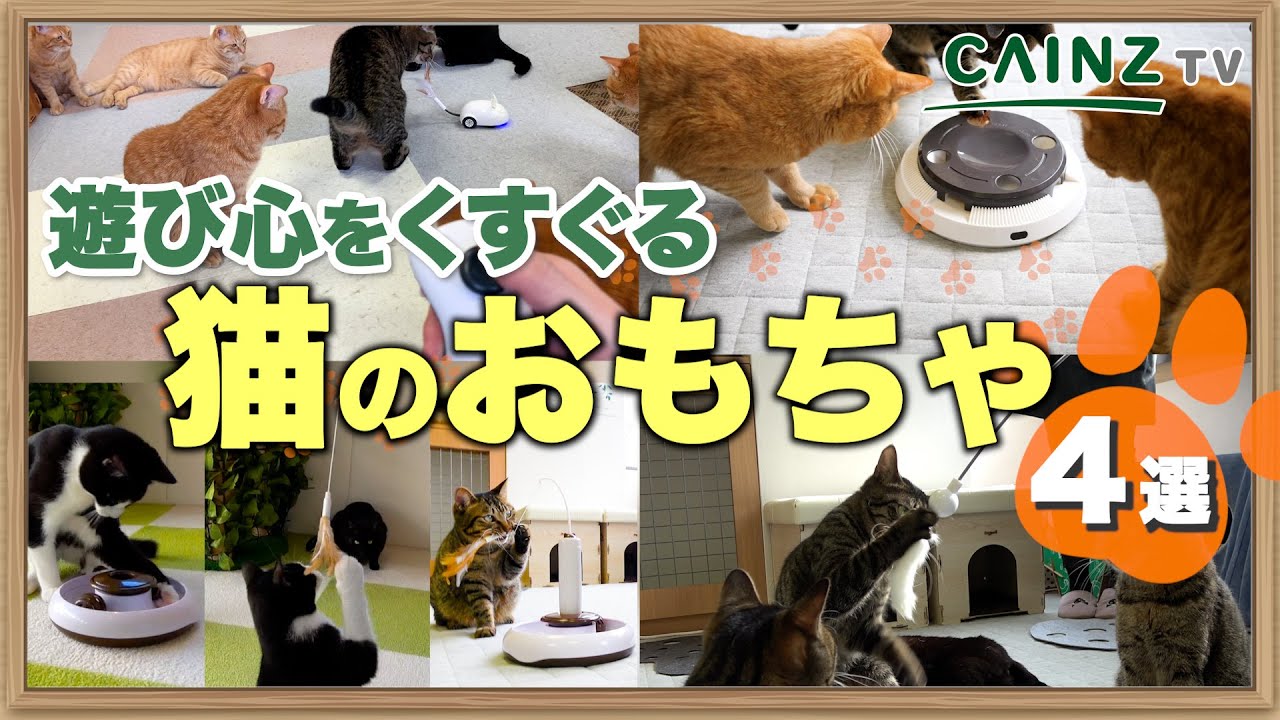 愛猫との距離が縮まる！手放せなくなる猫のおもちゃ4選】 - YouTube