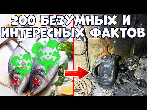 200 БЕЗУМНЫХ И ИНТЕРЕСНЫХ ФАКТОВ, КОТОРЫЕ ВАС УДИВЯТ