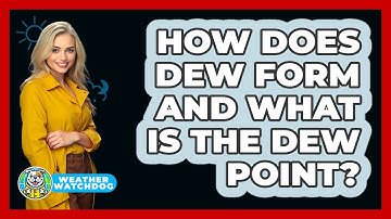 How Does Dew Form And What Is The Dew Point? - Weather Watchdog