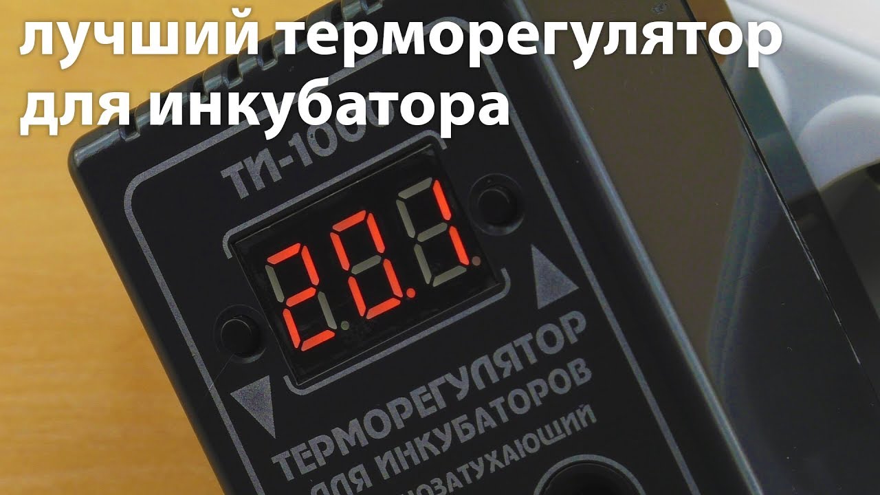 Терморегулятор для инкубатора ТИ-1000 и не только, обзор - YouTube