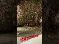 松葉ガニの量がヤバすぎてw草