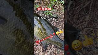 『Megabass』レベルスイマー　スモールマウスバス釣り