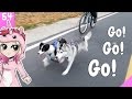 2 Dog Bikejoring for the first time || Pet Vlog 54 #NoraWeek 2 Dog Bikejoring for the first time || Pet Vlog 54 #NoraWeek