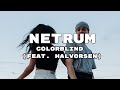 Netrum - Colorblind (feat. Halvorsen) [NCS Release]