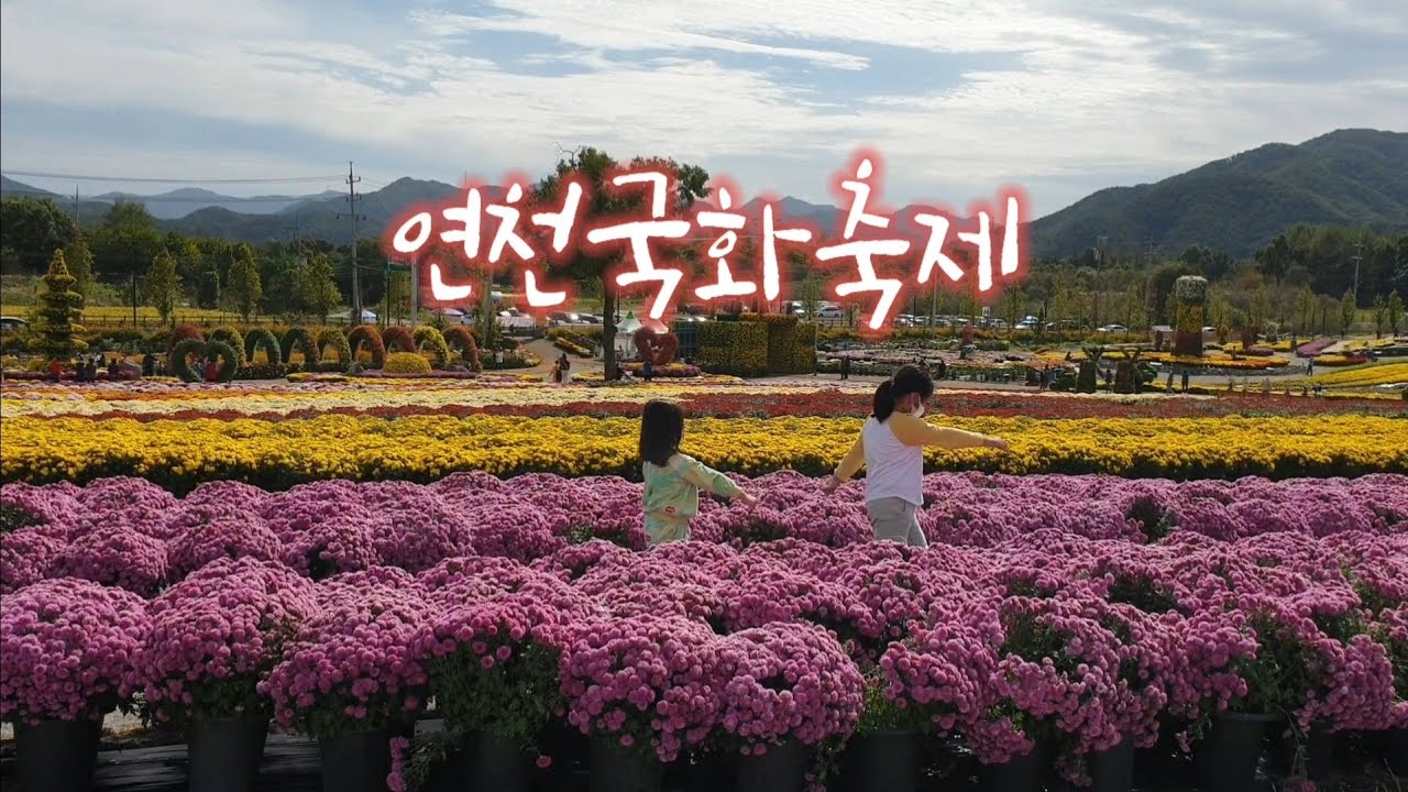 Scenic autumn travel destination in Korea, a calming escape from internet drama and stress