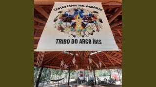 Video thumbnail of "Tribo do Arco Íris - Céu de Estrelas"