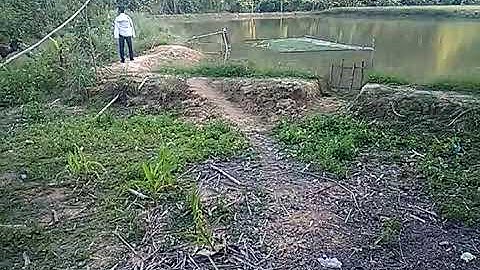 Tus npaw pom ib tug qaib qus wb yuav mus cuab nawb