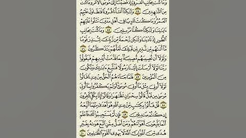 سورة القصص من الآية ٤٤ إلى الآية ٥٠بصوت القارئ ماهر المعيقلي