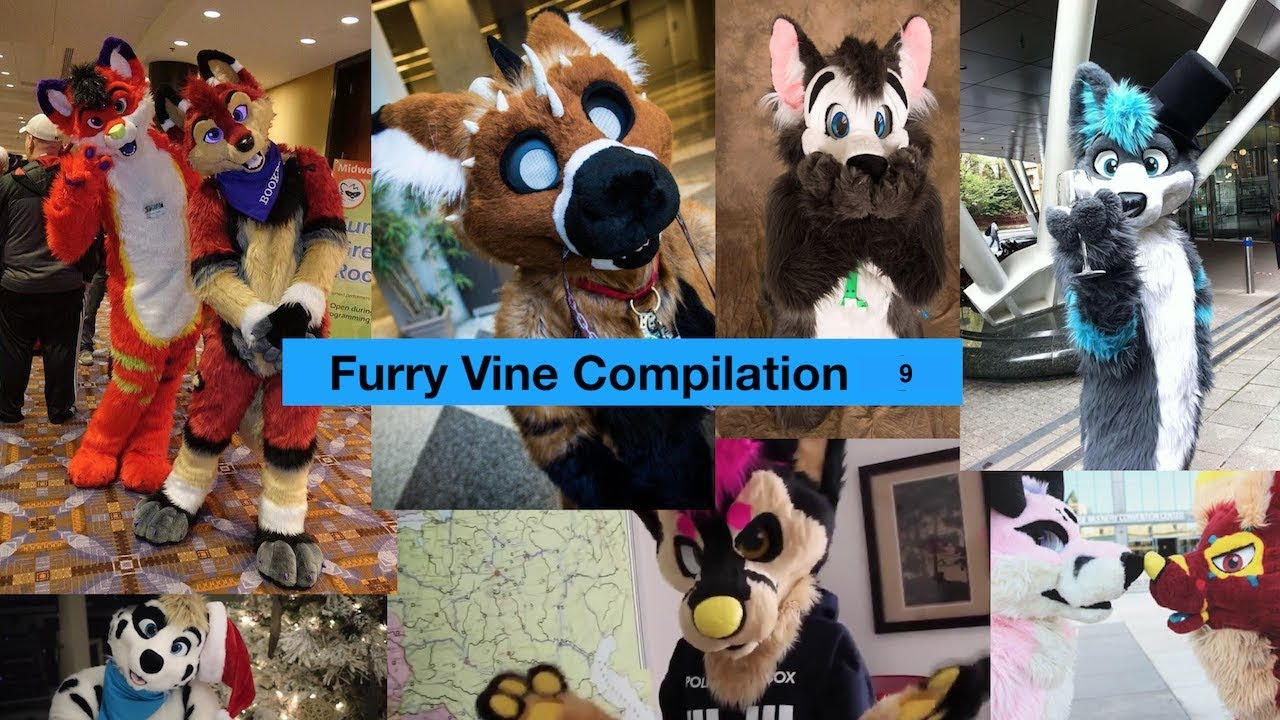 Furry Vine Compilation #9 100+ Vines 2017 Ft Telephone, Spawts, Cosmic Wuffy and more