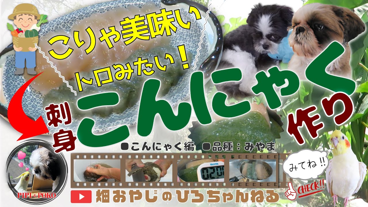 素材を活かした おいしい手作りこんにゃく の作り方 家庭菜園 こんにゃくいも レシピ初公開 Youtube