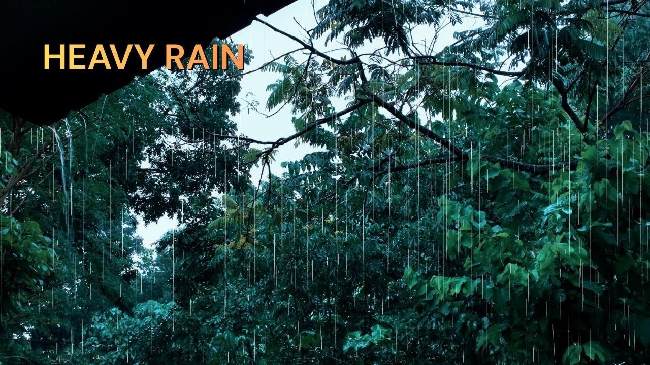 HEAVY Rain on Roof & Thunder for Deep Sleep 🌧️⚡ Instant Relaxation