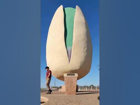 The World's Largest Pistachio 😋 - YouTube