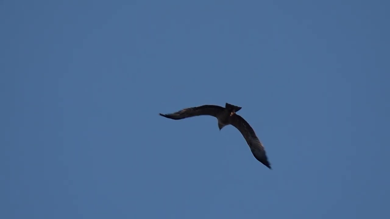 Természet Tiszalúc tél vége tavasz kezdete