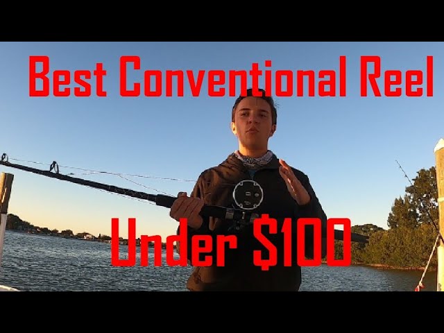 Best Conventional Reel UNDER $100 2021 Penn Warfare 