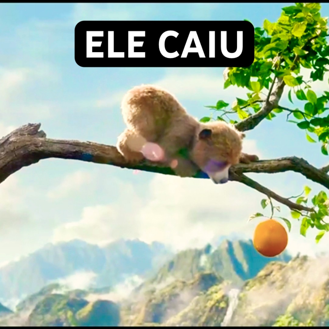 O URSUNHO FOFO TENTOU PEGAR A LARANJA E CAIU #shorts