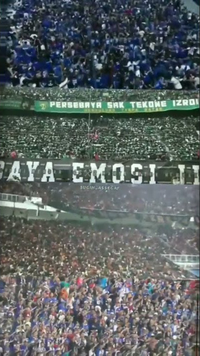 KEBERSAMAAN ITU INDAH UNTK KTA BERSAMA#arema #persib #persija #persebaya #suporterindonesia #shorts