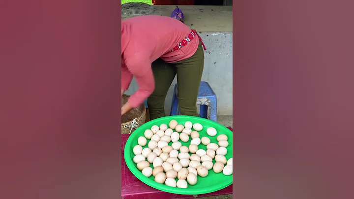 REWIND TIMELAPSE --180 Day Raise Ducks, Chicken & Harvest Ducks Eggs, Chicken Eggs