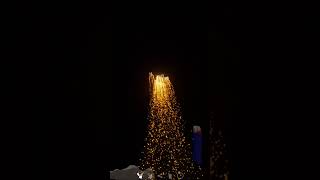 20x Zink 901 Signalrakete