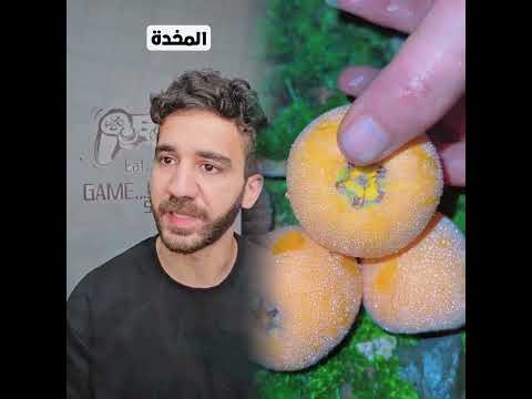 كيف بتناموا إل حسامو سكتشات كوميدي