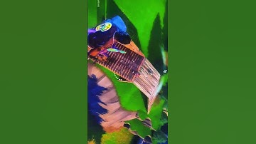 Quick little 1v2 😴🫡