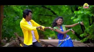 झारा  रारा ZARA RARA  /NEW GONDI SONGS 2024 /MADAVI PRODUCTION | FULL VIDEO SONG/NEW GONDI SONGS...