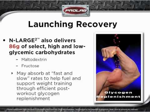 HOW TO BUILD MASS - Prolab N-Large2