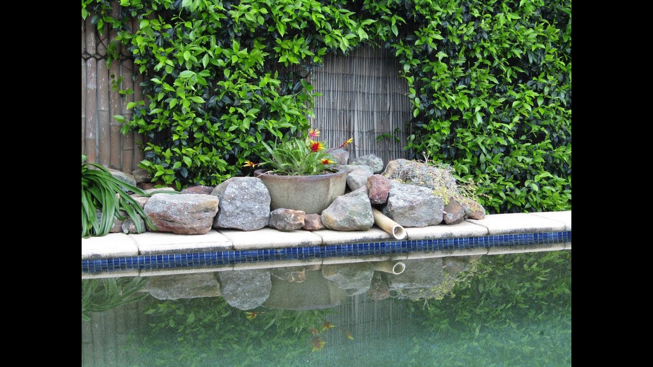 How to Convert a Swimming Pool to a Garden Pond (Part 2)