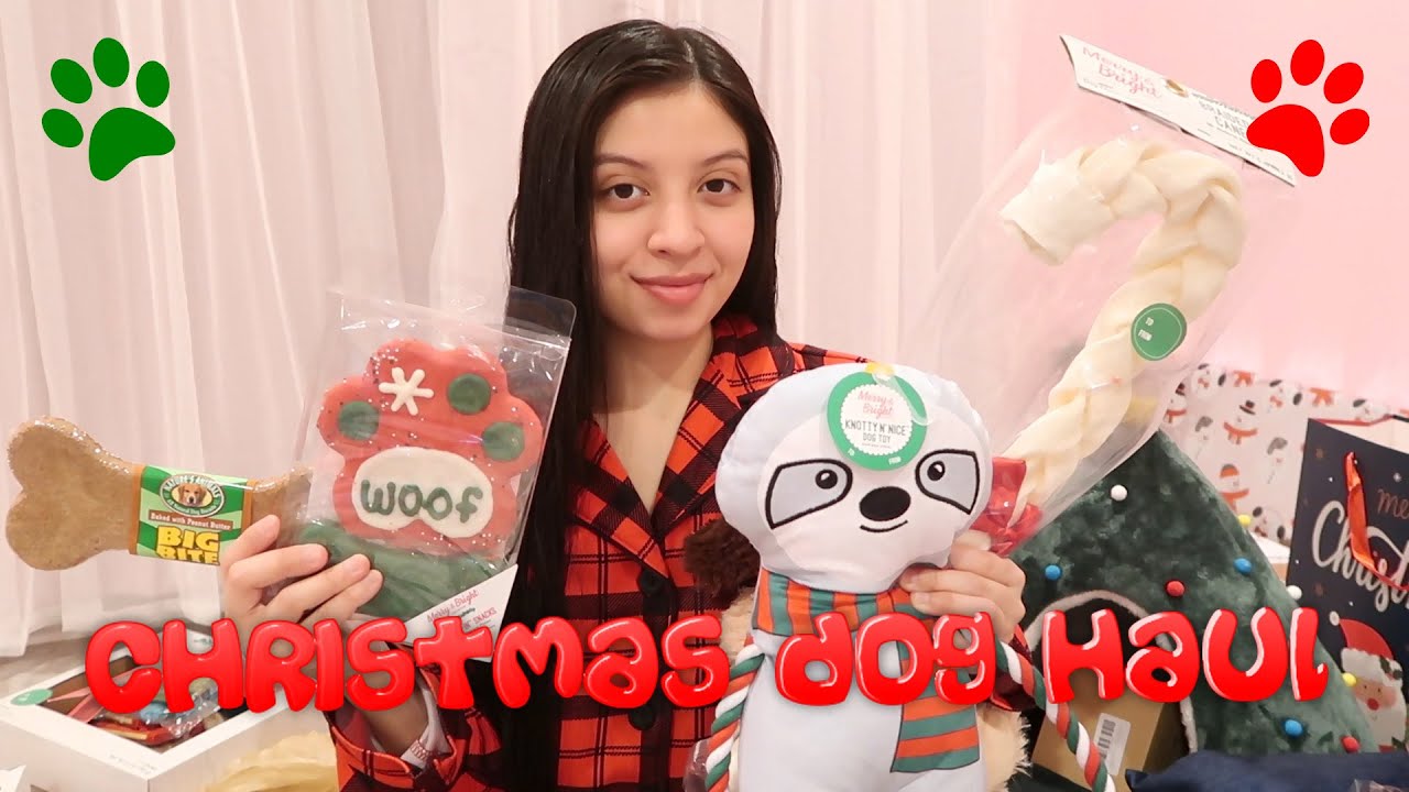 Christmas Dog Haul 250 Pet Haul Dog Christmas Gifts Petsmart