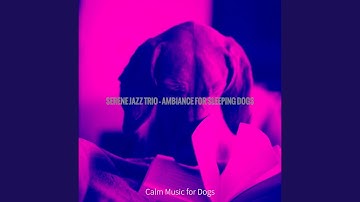 Pulsating Moods for Training Dogs