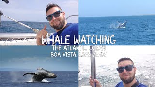 Whale Watching, Atlantic Ocean Just off Boa Vista Cape Verde.