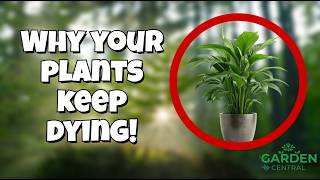 Why Your Plants Are Dying 😭 Top 10 Beginner Mistakes