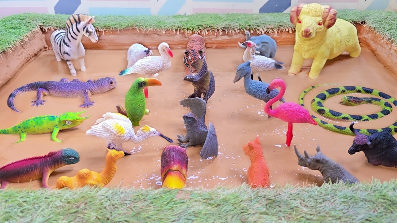 Миссия по мытью, спасению и освобождению животных сафари, небесных птиц и ящериц джунглей.