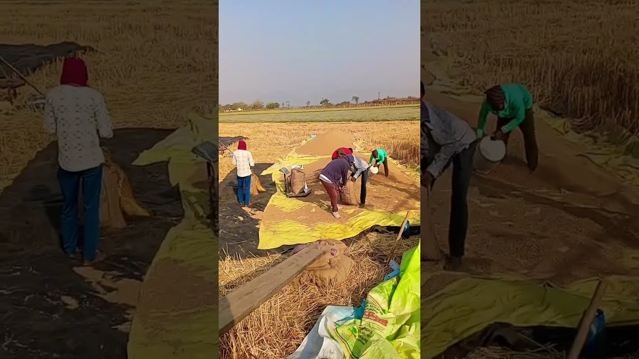 18 રૂપિયા લેશે સુપર કામ કરે 