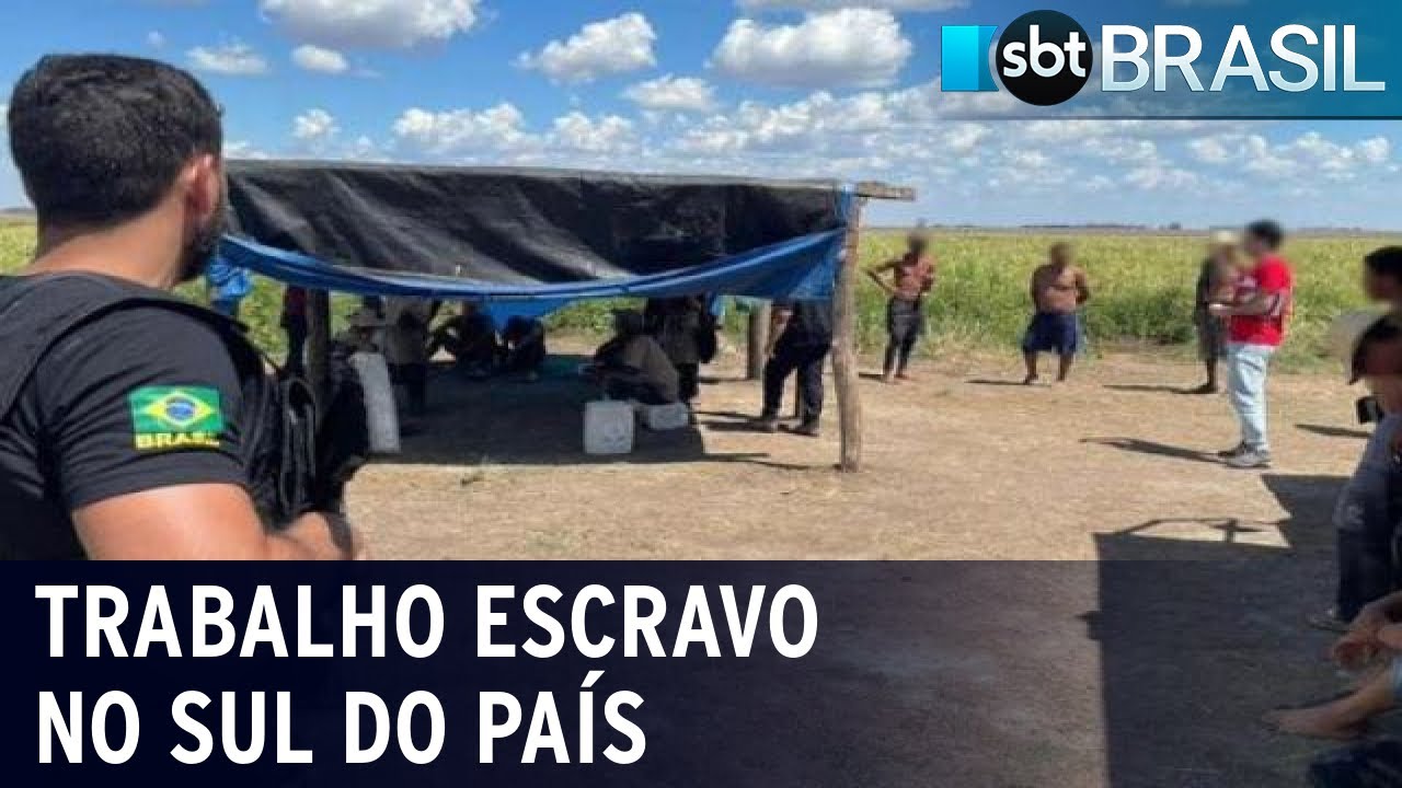 Trabalho escravo: 56 pessoas são resgatadas em fazendas de Uruguaiana (RS) | SBT Brasil (11/03/23)