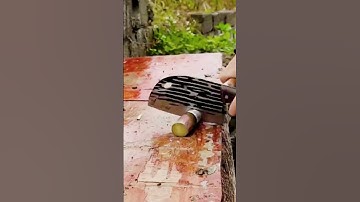 cool technique of cutting sugar cane with a sharp knife #shorts
