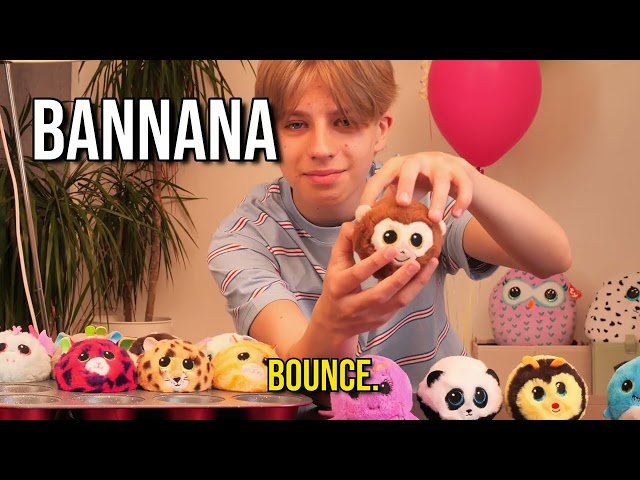 REVIEW - meet FINS, BUZZY.... #ty #beaniebouncers