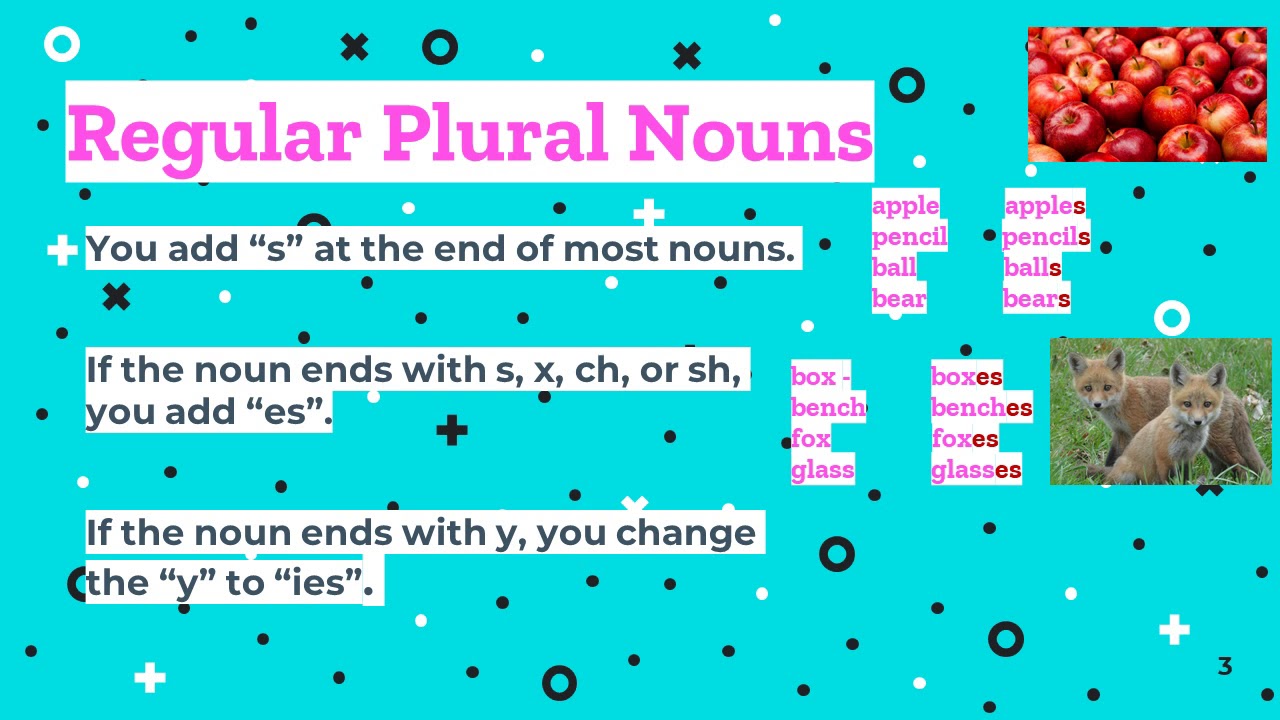 homework dictionary plural